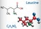 Leucine L- leucine, Leu, L molecule. It is essential amino acid. Structural chemical formula and molecule model