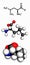 Leucine (Leu, L) amino acid, molecular model