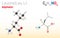 Leucine (Leu, L) amino acid molecule. (Chemical formula C6H13NO2)