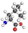 Leucine molecule