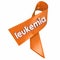 Leukemia Orange Ribbon Awareness Medical Research Fund Raiser