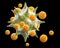 Leukocytes attack the pathogen virus