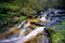 Leura Cascades in the Blue Mountains National Park, Australia