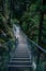 Leutaschklamm - wild gorge with river in the alps of Germany