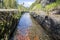 Levada das 25 fontes, irrigation canal detail view, touristic hiking trail, Rabacal, Madeira island, Portugal