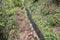 Levada do Poco Bezerro, wild water, touristic hiking trail, Ribeiro Frio, Madeira island