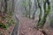 Levada dos Cedros: Fanal to Ribeira da Janela, type of irrigation canals, Madeira, Portugal