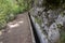 Levada Forado, touristic hiking trail, Ribeiro Frio, Madeira island, Portugal