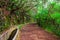 Levada irrigation channel at Madeira island