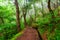 Levada irrigation channel at Madeira island