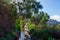 Levada walk through forest on Madeira, Portugal