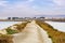 Levee on the marshes of East San Francisco bay, Hayward, California