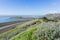 Levees in Don Edwards wildlife refuge, Dumbarton bridge and Coyote Hills Regional Park, Fremont, San Francisco bay area,