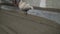 Leveling the floor of a large construction spatula. The worker pours the floors with mortar. The builder is working on