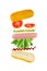 Levitating hot dog ingredients: sausage, mustard, ketchup, lettuce, tomatoes and bun. Isolated on white background