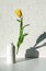 Levitating yellow tulip on a white brick background and a shadow behind it