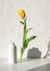 Levitating yellow tulip on a white brick background and a shadow behind it