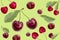 Levitation cherry, sweet cherry on a light green background. Selective focus image. Banner, wallpaper, advertising