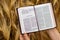 Leviticus open Holy Bible Book in human hands on top of golden ripe barley field in summer harvest season