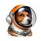 LeÃ¯ka - first living being in space - dog in cosmonaut suit