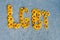 LGBT abbreviation lined with flowers on a gray background. letters of yellow flowers