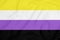 LGBT Non-binary pride community flag on a textured fabric. Pride symbol