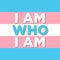 LGBTQ Plus transgender Flag White Blue Pink Pride Vector Template Design Element