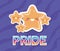 Lgtbi pride and kawaii star vector design