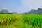 Li river ricefield mountain landscape in Yangshuo Guilin