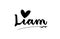 Liam name text word with love heart hand written for logo typography design template