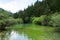 Lianyan pond, five different colorful can be seen in the pond here