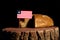 Liberian flag on a stump with bread