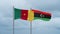 Libya and Cameroon flag