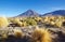 Licancabur and Juriques in the Atacama desert, Chile