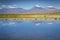 Licancabur volcanic landscape and salt lake reflection in Atacama Desert, Chile