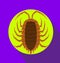 Lice Insect Vector Illustration