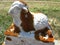 Lichen-covered lamb headstone