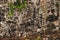 Lichen-covered Stone Head Statues in Angkor Wat, Siem Reap, Cambodia, Indochina, Asia - face on in colour