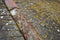 Lichen covered tiles on a cornish stone roof