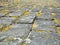 Lichen covered tiles on a cornish stone roof