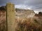 Lichen Covered Wooden Signpost