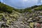 Lichen-grown stones in Gorgany region of Carpathian mountains