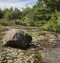 Lichen and moss near erratic rock deposit on Canadian shield