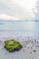 Lichen stone on the beach with sea and sky background.