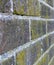 Lichen wall