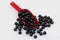 Licorice black balls aniseed