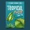 Licuala Grandis Exotic Bush Leaves Poster Vector