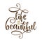 Life is beautiful - lovely lettering calligraphy quote.