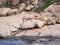 Life buoy on rocks on the south coast of Western Australia