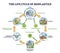 Life cycle of bioplastics and reusable materials production outline diagram